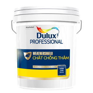 Chất chống thấm Dulux Professional WEATHERSHIELD
